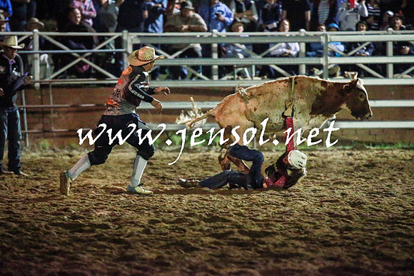 CoomaRodeo2016_3497