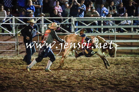 CoomaRodeo2016_3500