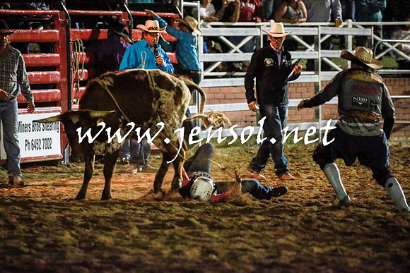 CoomaRodeo2016_3435