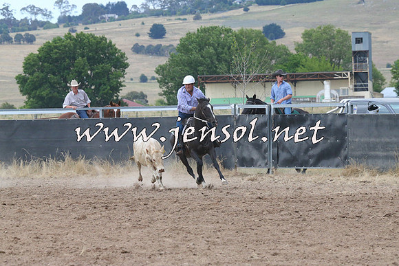 BraidwoodCampdraft2014_2247