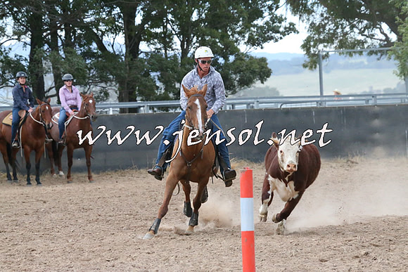 BraidwoodCampdraft2014_2325