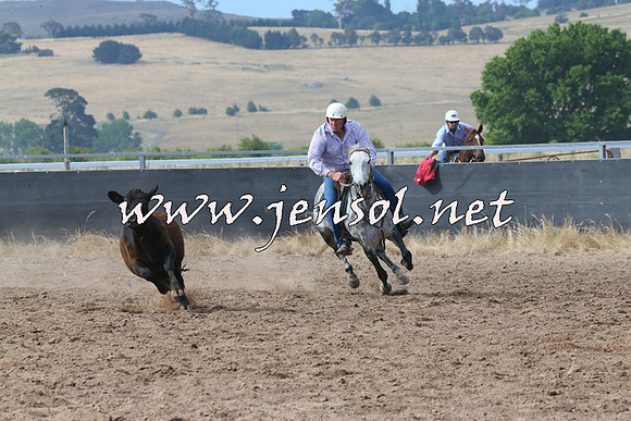 BraidwoodCampdraft2014_2234