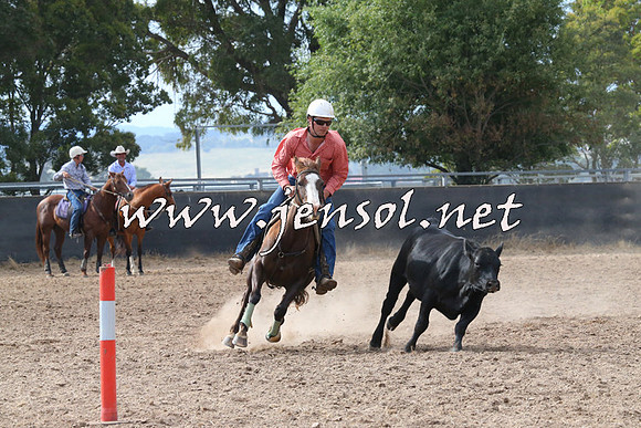 BraidwoodCampdraft2014_2225