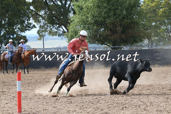 BraidwoodCampdraft2014_2222