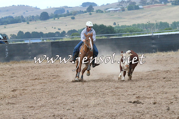 BraidwoodCampdraft2014_2307