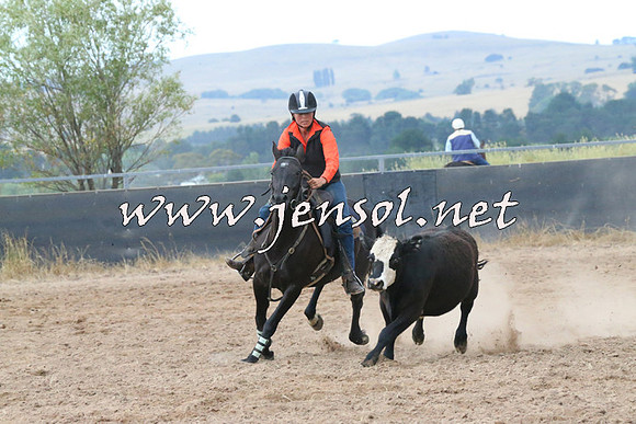 BraidwoodCampdraft2014_2330