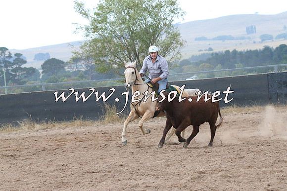 BraidwoodCampdraft2014_2354