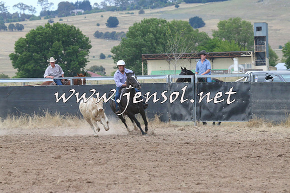 BraidwoodCampdraft2014_2250
