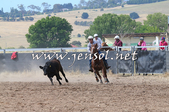 BraidwoodCampdraft2014_2202