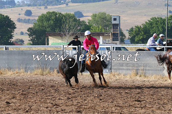 BraidwoodCampdraft2014_2029