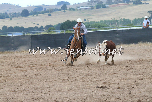 BraidwoodCampdraft2014_2311