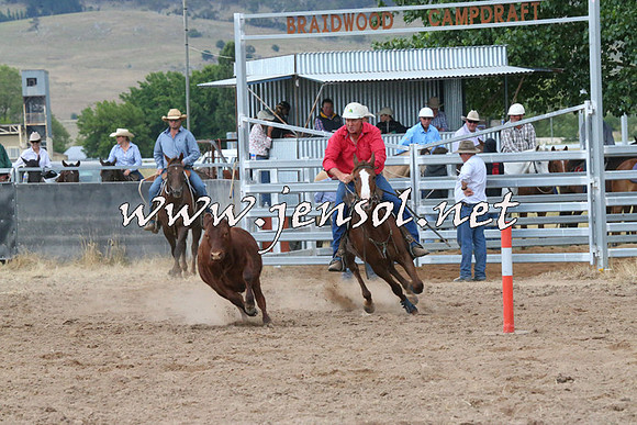 BraidwoodCampdraft2014_2288