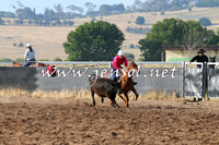 BraidwoodCampdraft2014_2019