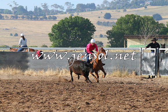 BraidwoodCampdraft2014_2019