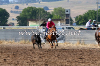 BraidwoodCampdraft2014_2032