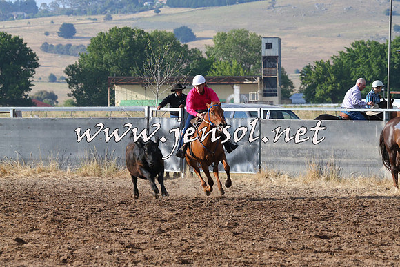 BraidwoodCampdraft2014_2032