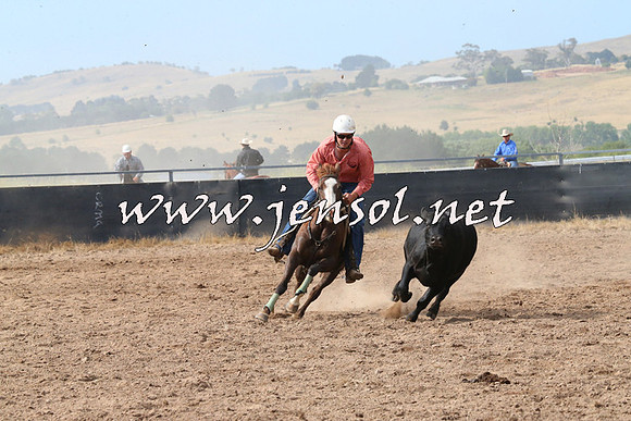 BraidwoodCampdraft2014_2219