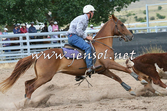 BraidwoodCampdraft2014_2315