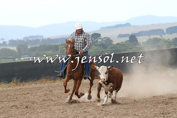 BraidwoodCampdraft2014_2346
