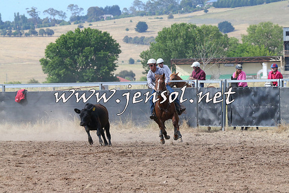 BraidwoodCampdraft2014_2203