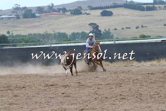 BraidwoodCampdraft2014_2317