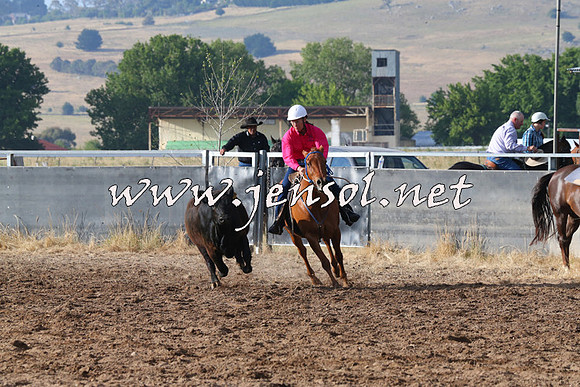 BraidwoodCampdraft2014_2034
