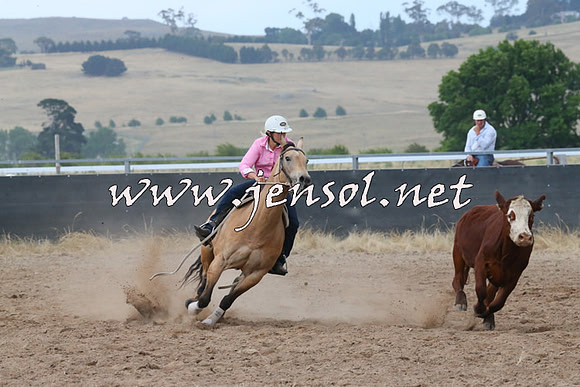 BraidwoodCampdraft2014_2348
