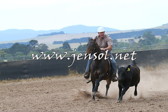 BraidwoodCampdraft2014_2264