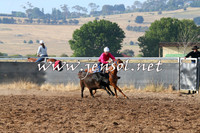 BraidwoodCampdraft2014_2018