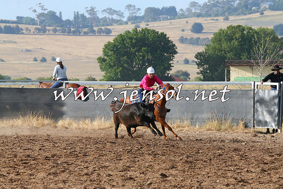 BraidwoodCampdraft2014_2018