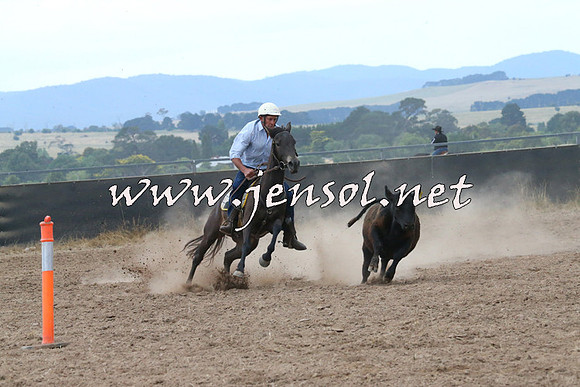 BraidwoodCampdraft2014_2273