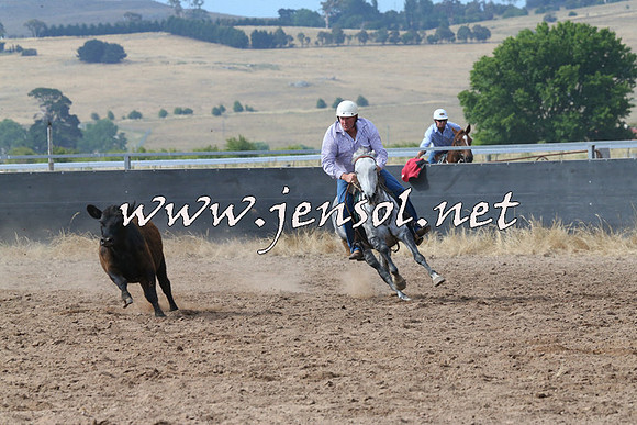BraidwoodCampdraft2014_2233