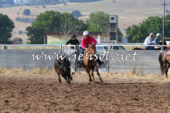 BraidwoodCampdraft2014_2031