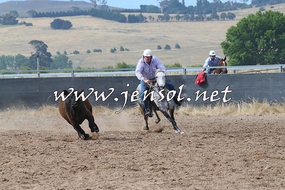 BraidwoodCampdraft2014_2235