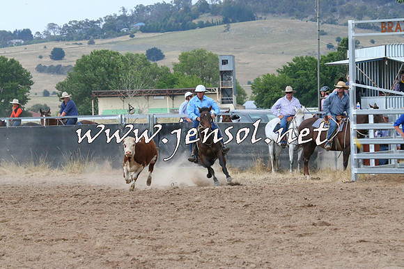 BraidwoodCampdraft2014_2362