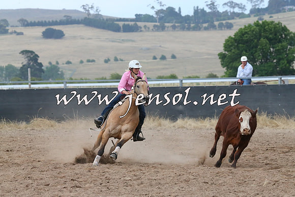 BraidwoodCampdraft2014_2349