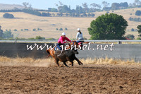 BraidwoodCampdraft2014_2021