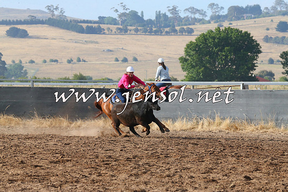 BraidwoodCampdraft2014_2021