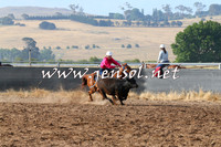 BraidwoodCampdraft2014_2022