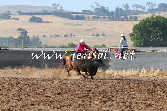 BraidwoodCampdraft2014_2022