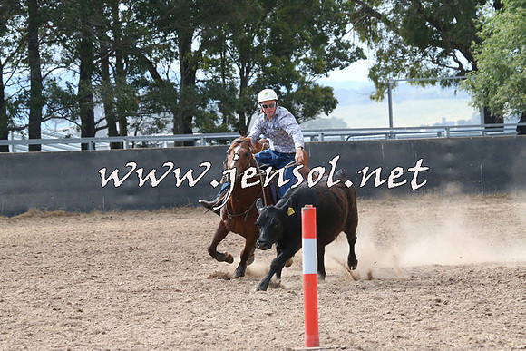 BraidwoodCampdraft2014_2208
