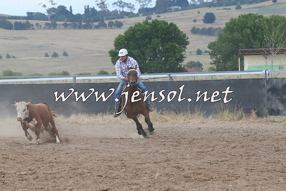 BraidwoodCampdraft2014_2300