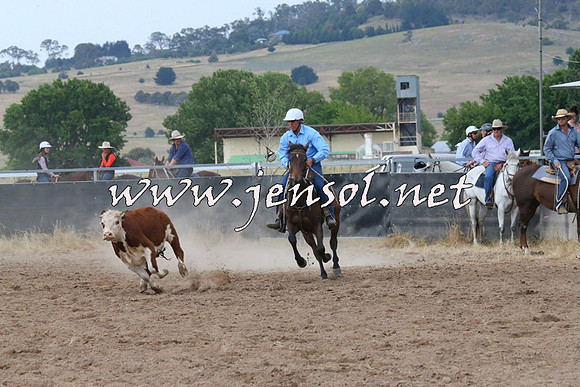 BraidwoodCampdraft2014_2363