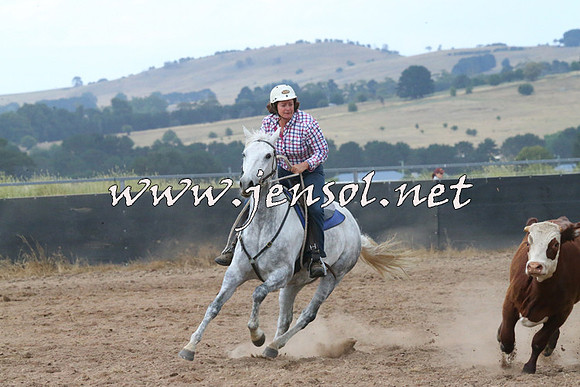 BraidwoodCampdraft2014_2369