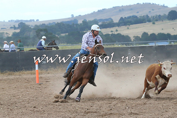 BraidwoodCampdraft2014_2295