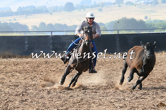BraidwoodCampdraft2014_2008