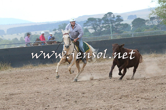 BraidwoodCampdraft2014_2352