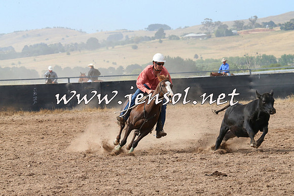 BraidwoodCampdraft2014_2217