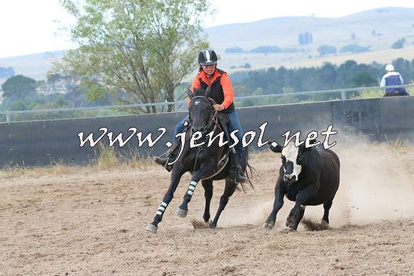 BraidwoodCampdraft2014_2331