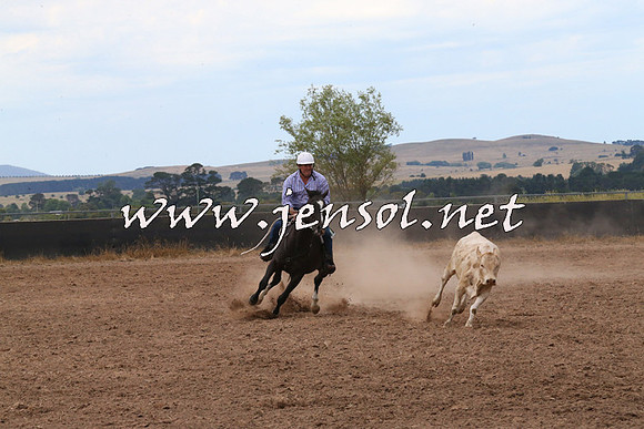 BraidwoodCampdraft2014_2244